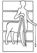 Centaur +Zander logo