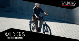 FIETSEN WILDIERS logo