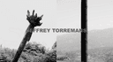 Torremans, Jeffrey logo