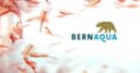 BERN AQUA logo