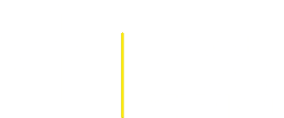 Vlaamse DirigentenVereniging logo