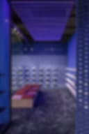 POLFLIET FRANKY logo