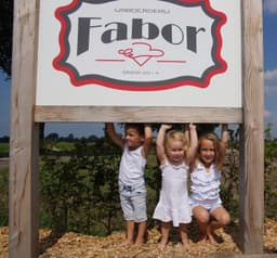 IJsboerderij Fabor logo