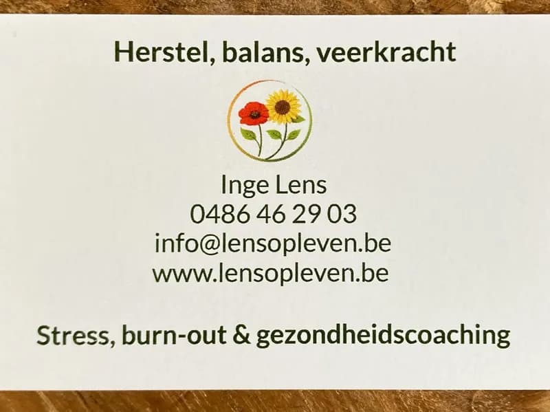 Lens op leven (coachingpraktijk) + De magische drakenfee (kinderanimaties)