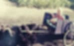 Smulders, Dennis logo