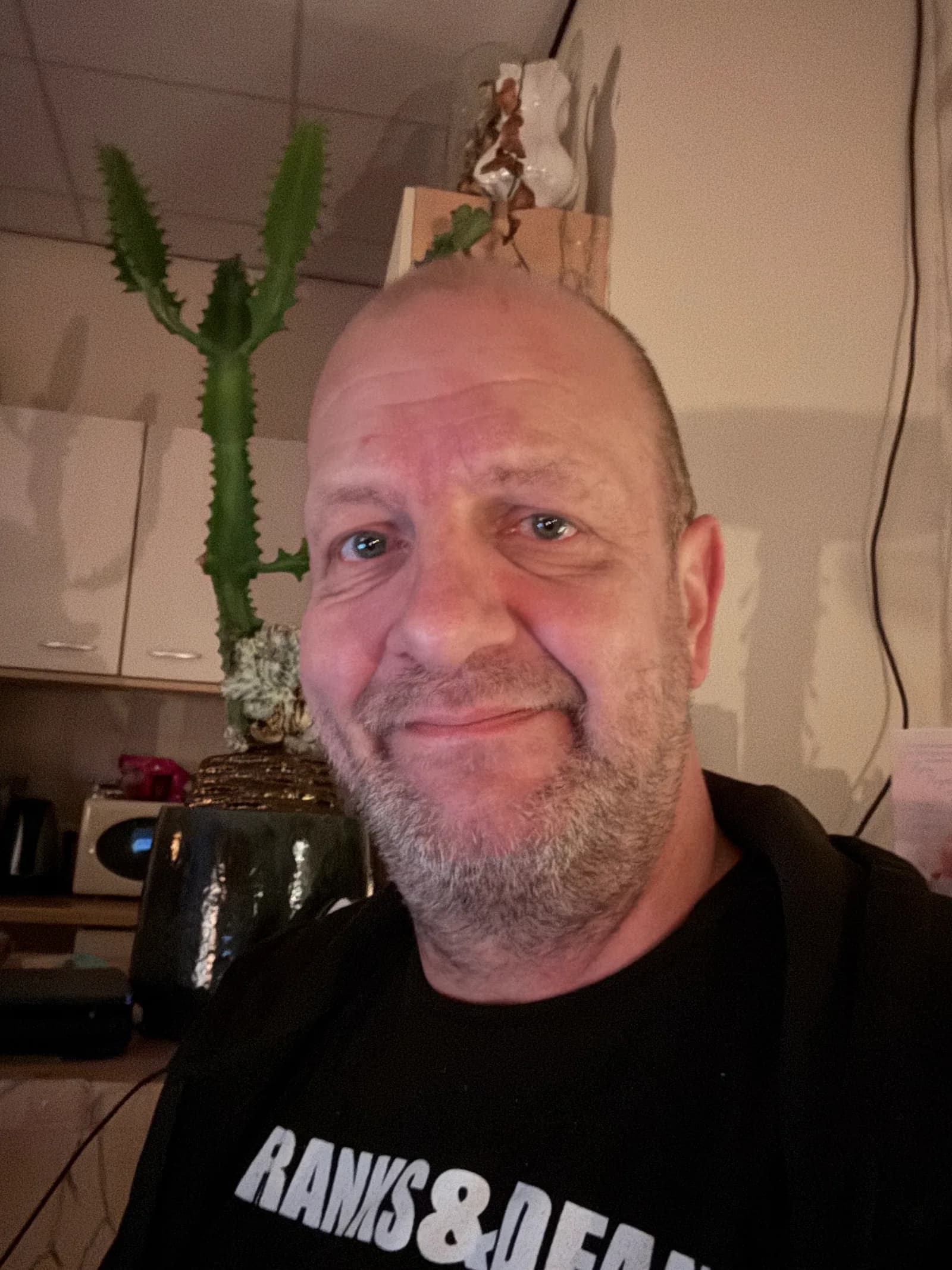 Theuws Consulting: strategie en advies voor Kempische ondernemers.