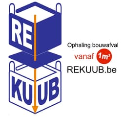 THE CLEANER logo