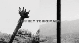 Torremans, Jeffrey logo