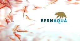 BERN AQUA logo