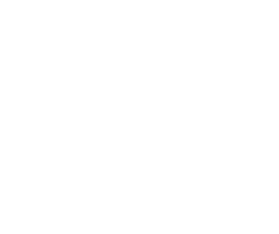 RDM Sports Company logo