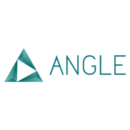 ANGLE AGENCY logo