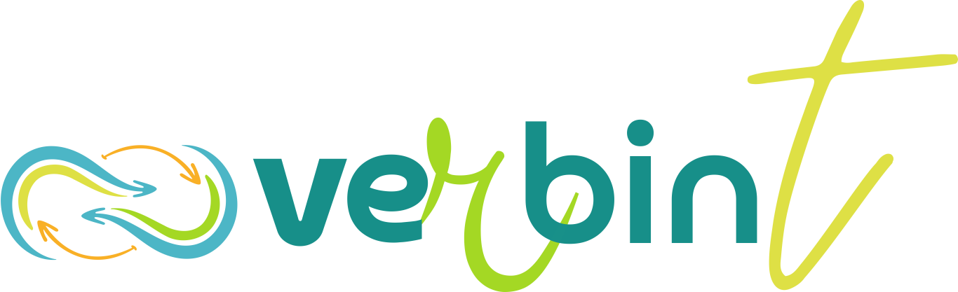 VERBINT logo