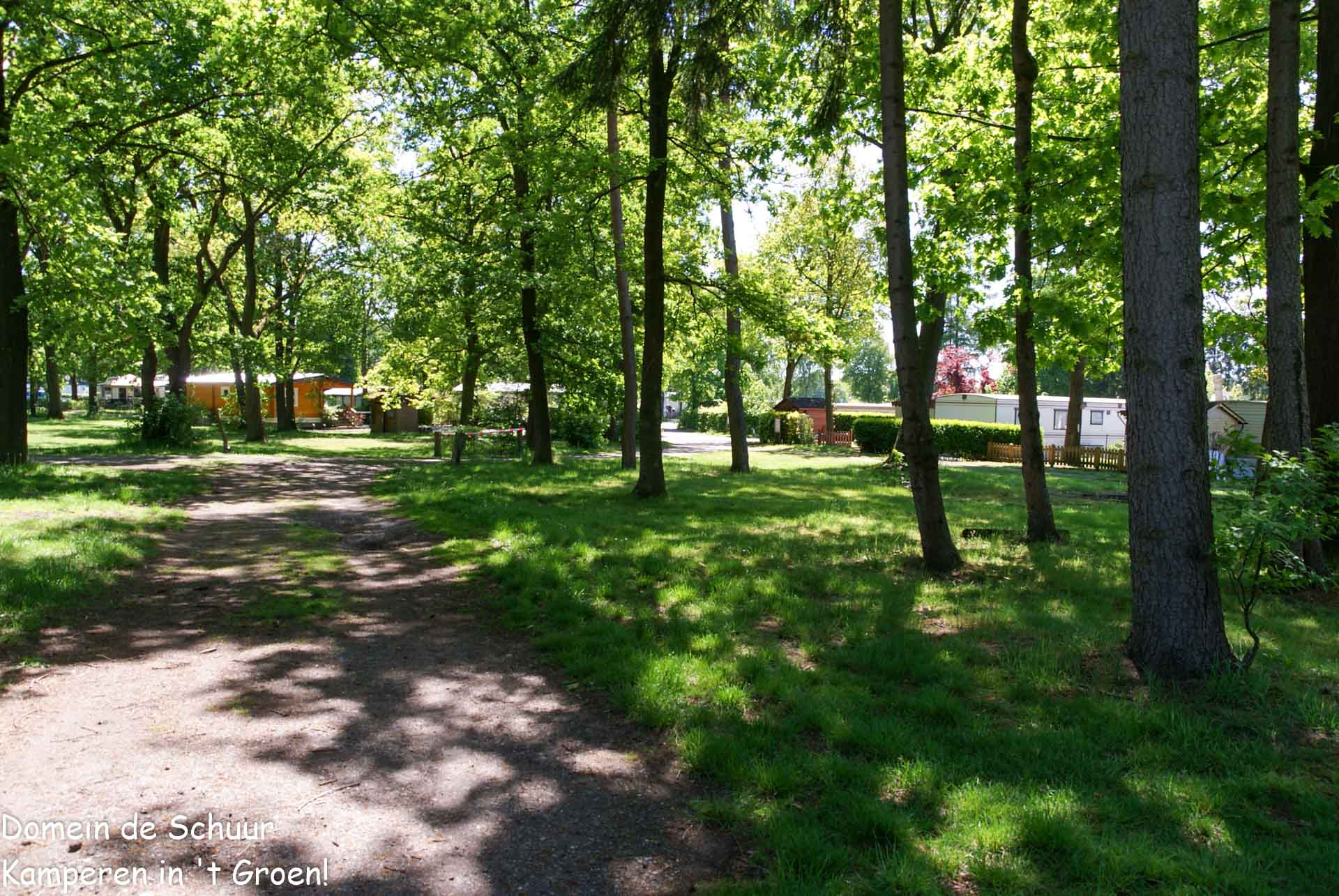 DOMEIN DE SCHUUR logo