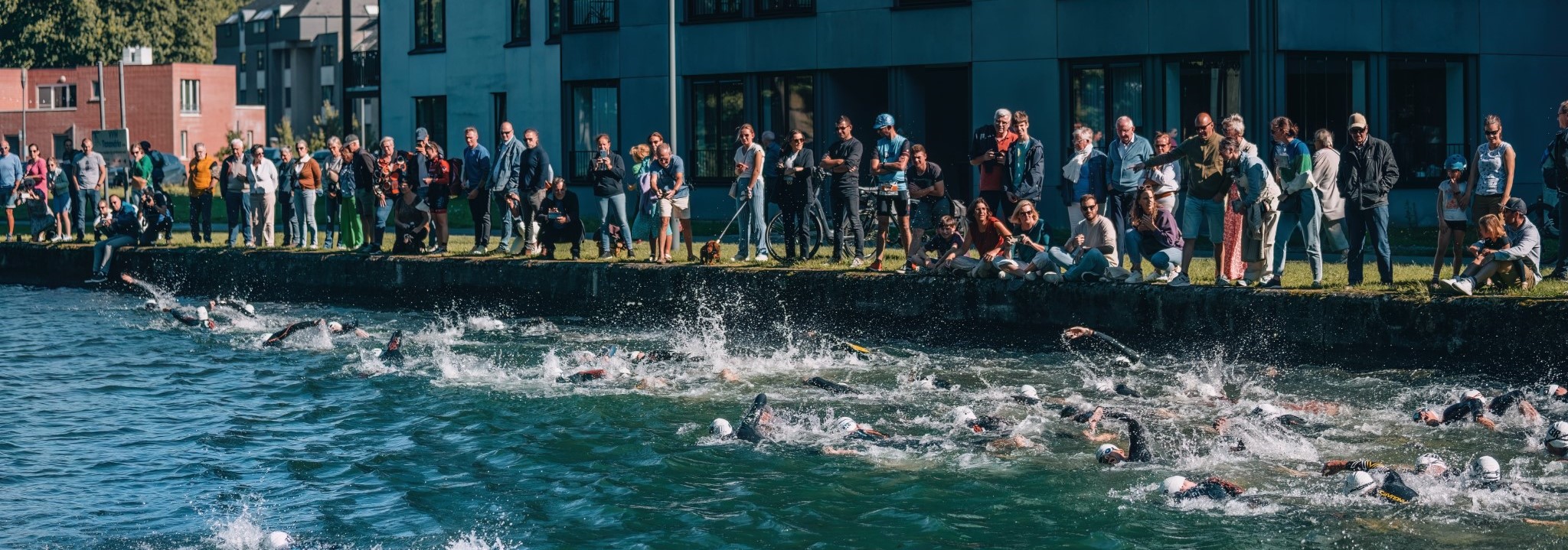 TaxanTRIA, de Turnhoutse Triatlonclub logo