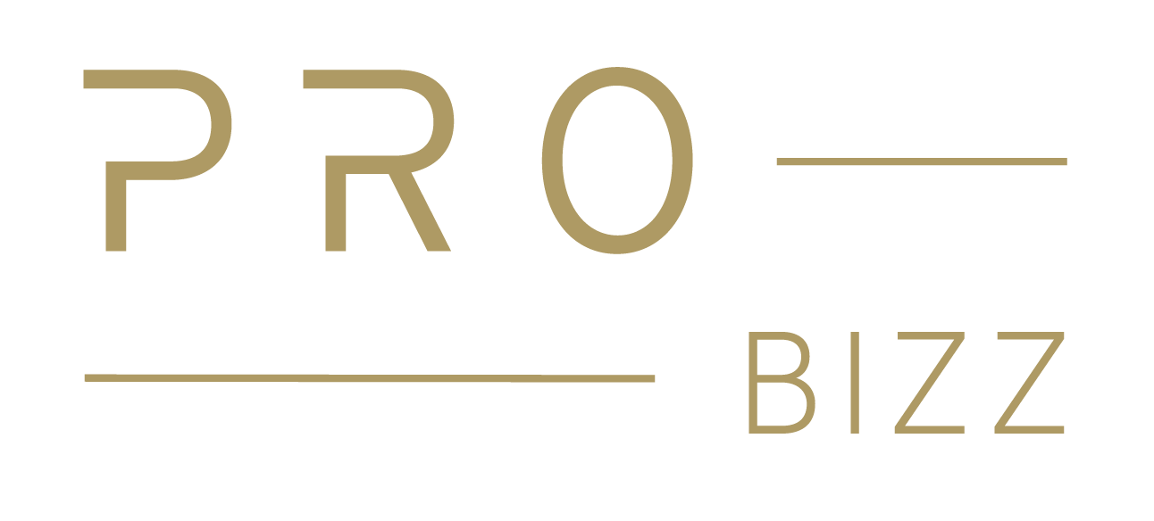 Pro-Bizz logo