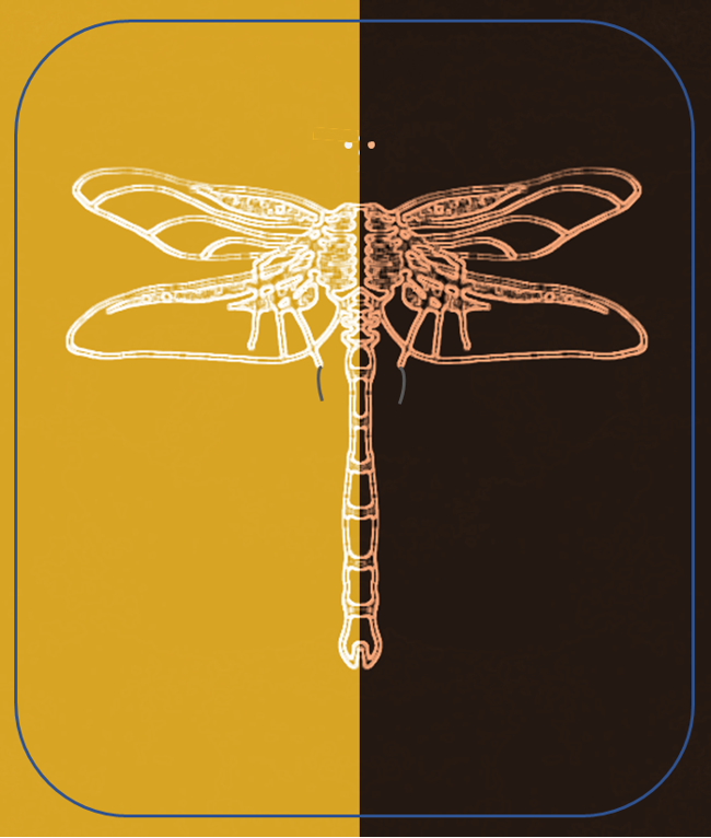 Hopperfly logo