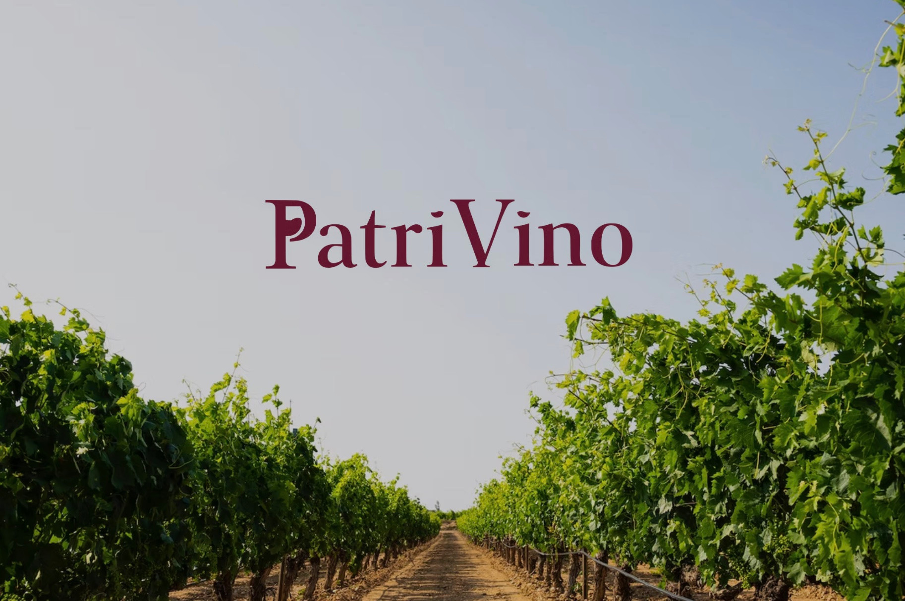 PatriVino logo