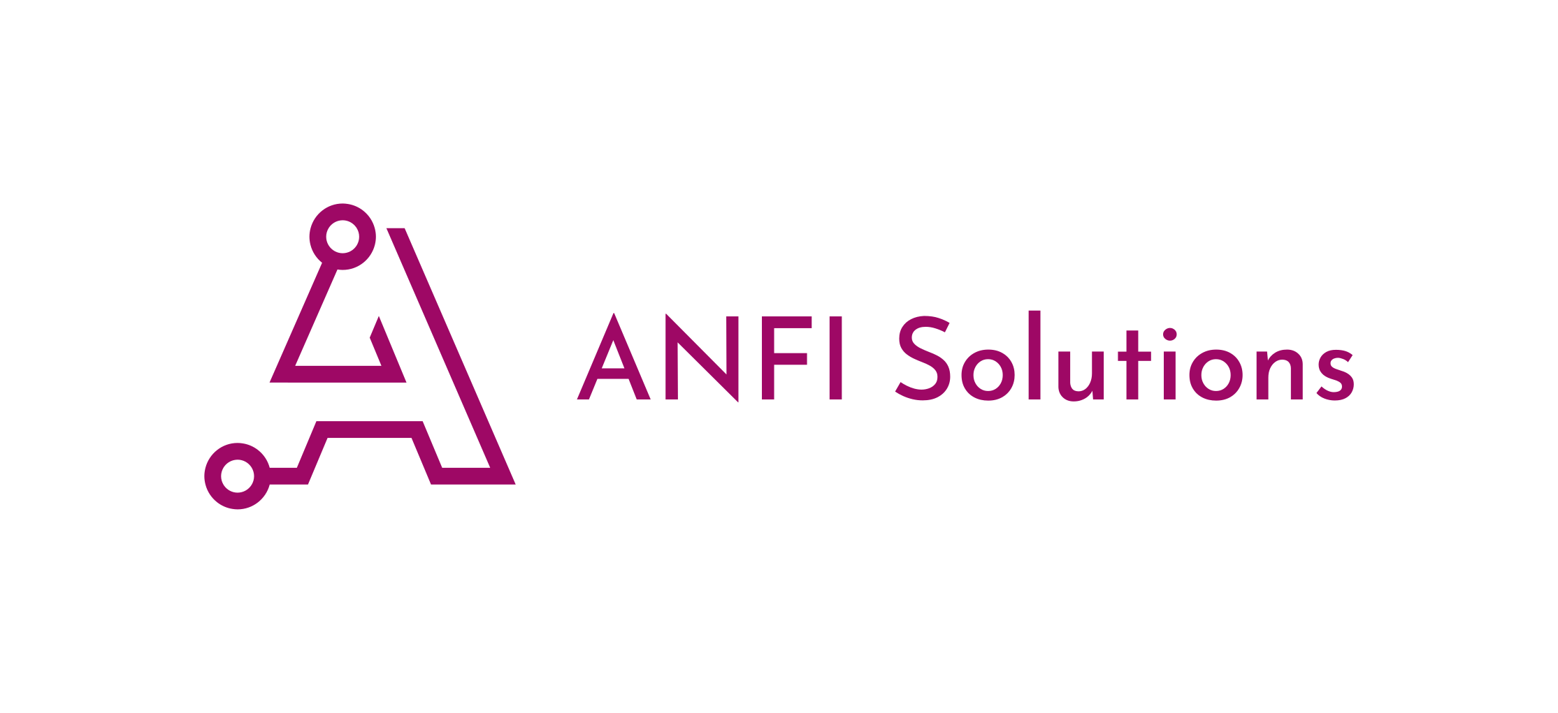 ANFI Solutions logo