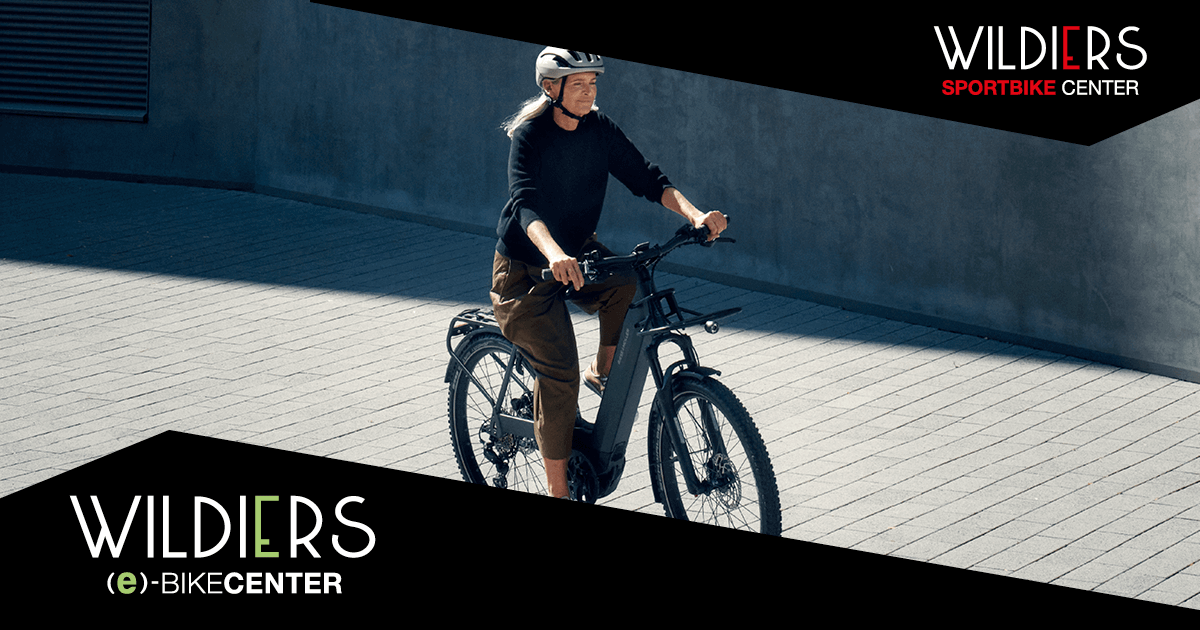 FIETSEN WILDIERS logo