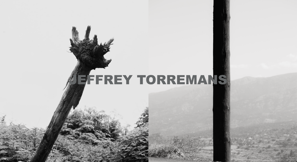Torremans, Jeffrey logo