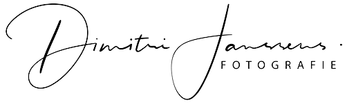 Dimitri Janssens logo