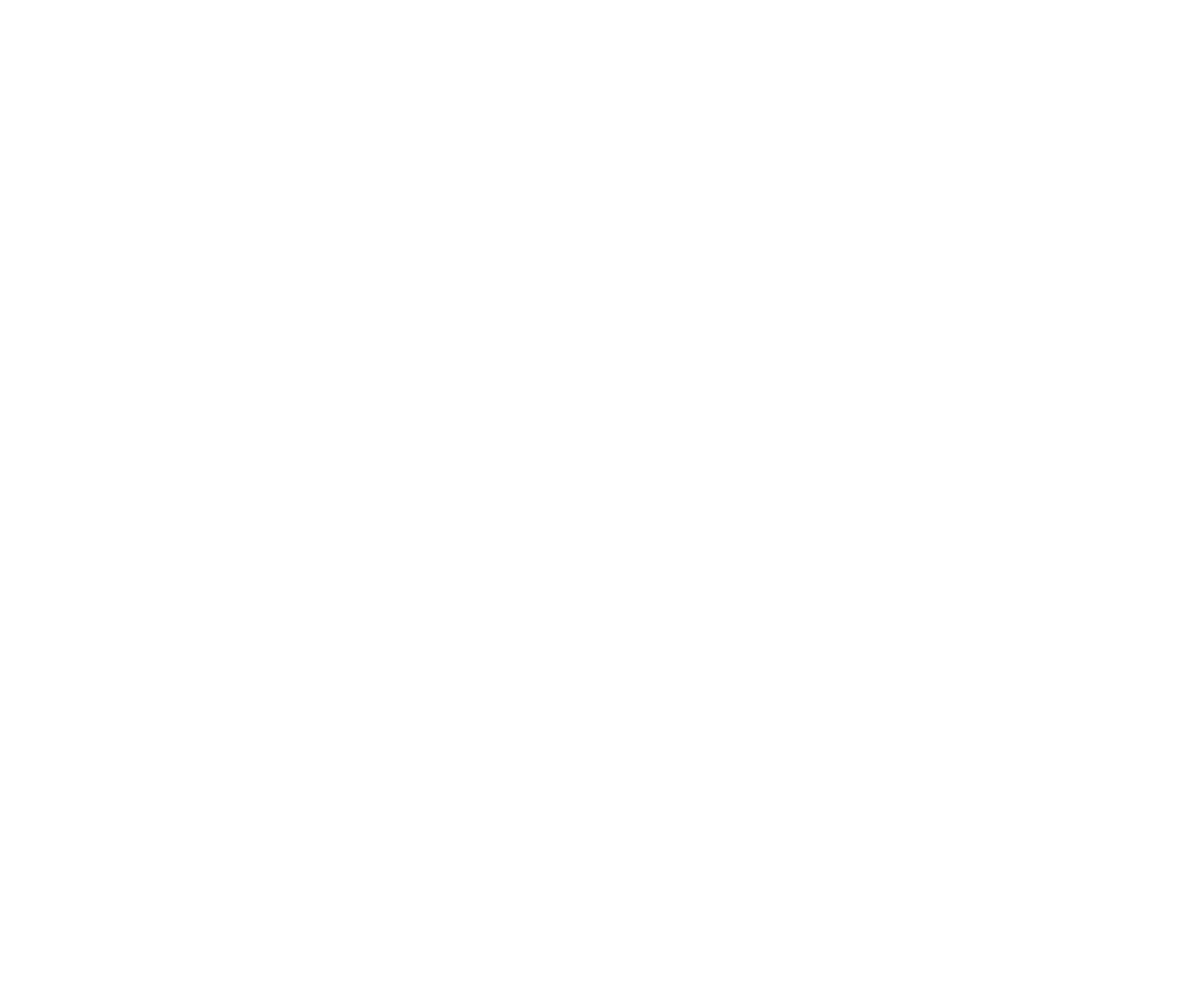 RDM Sports Company logo