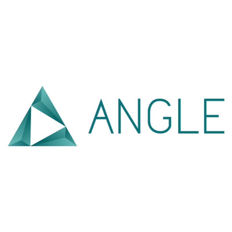 ANGLE AGENCY logo