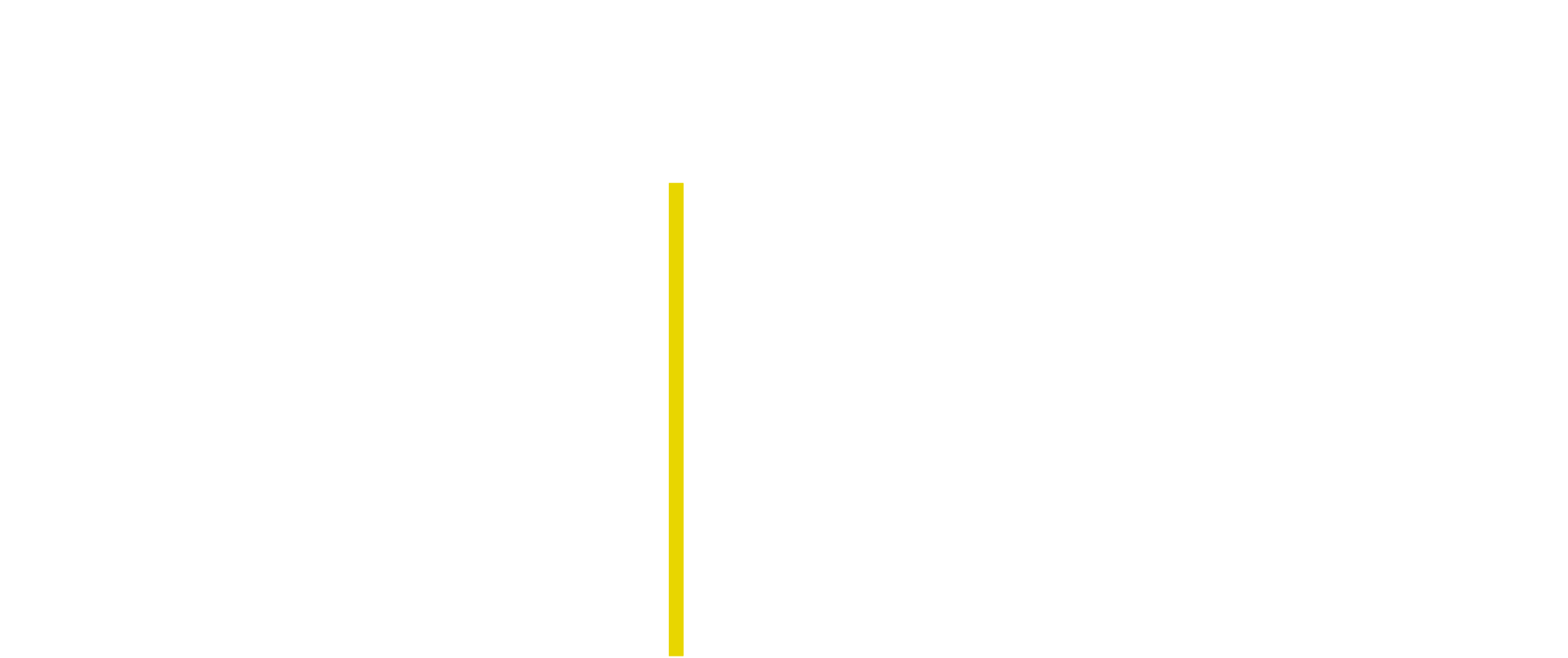Vlaamse DirigentenVereniging logo