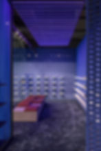 POLFLIET FRANKY logo